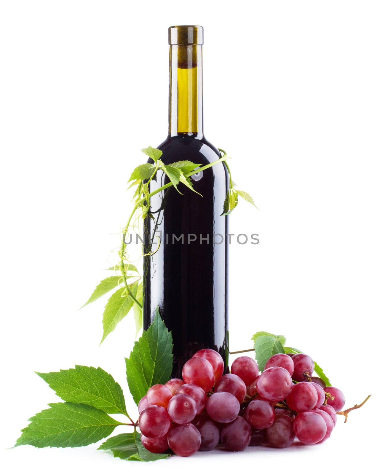 Bottle of red wine with grapes, white background