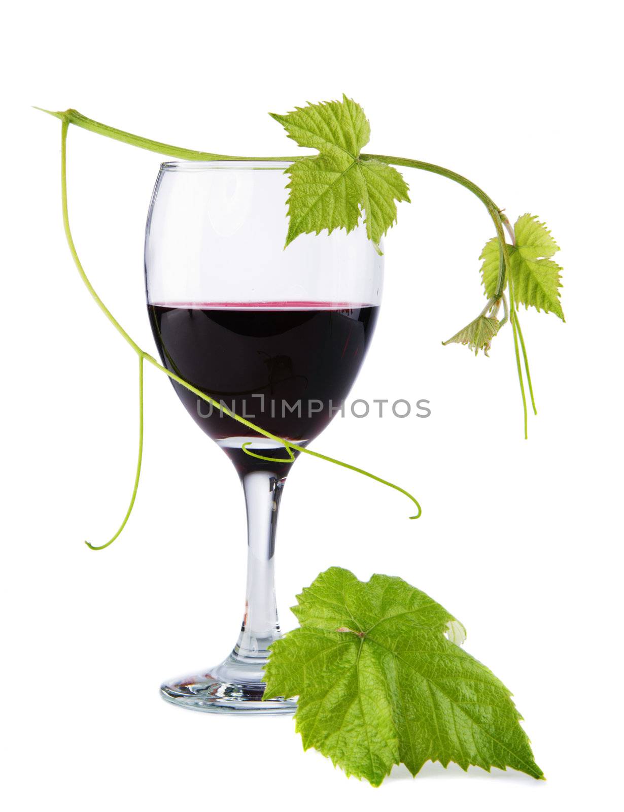 Glass of red wine, with a green leaf by Gdolgikh