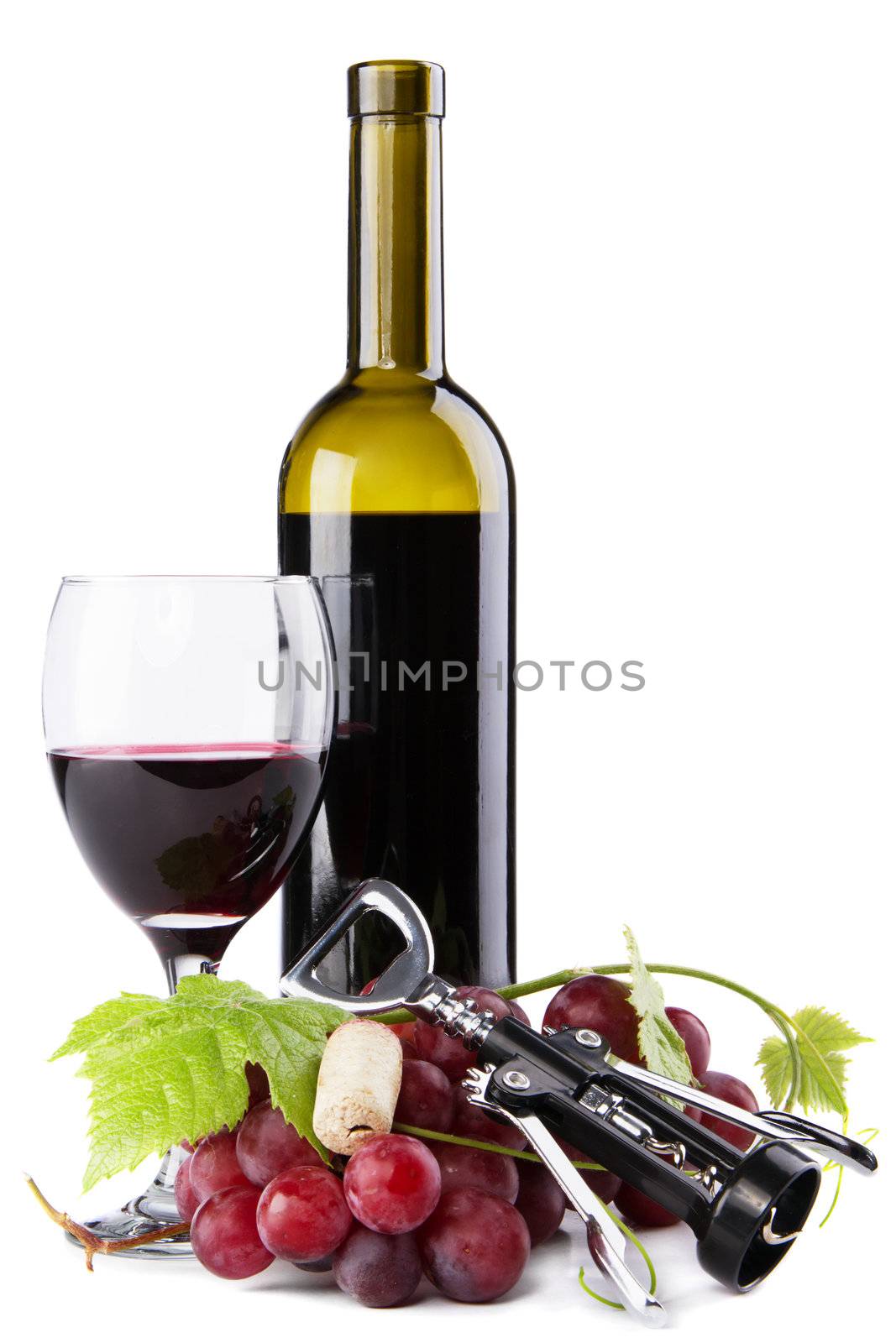 Bottle of red wine with grapes by Gdolgikh