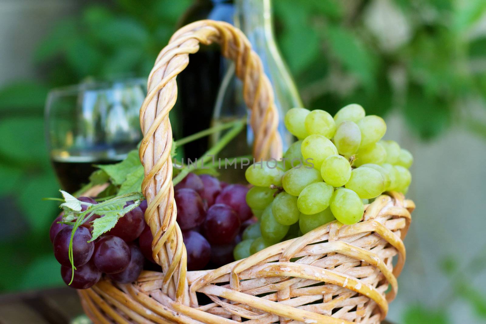 Bottles of red and white wine with grapes, outdoor natural light