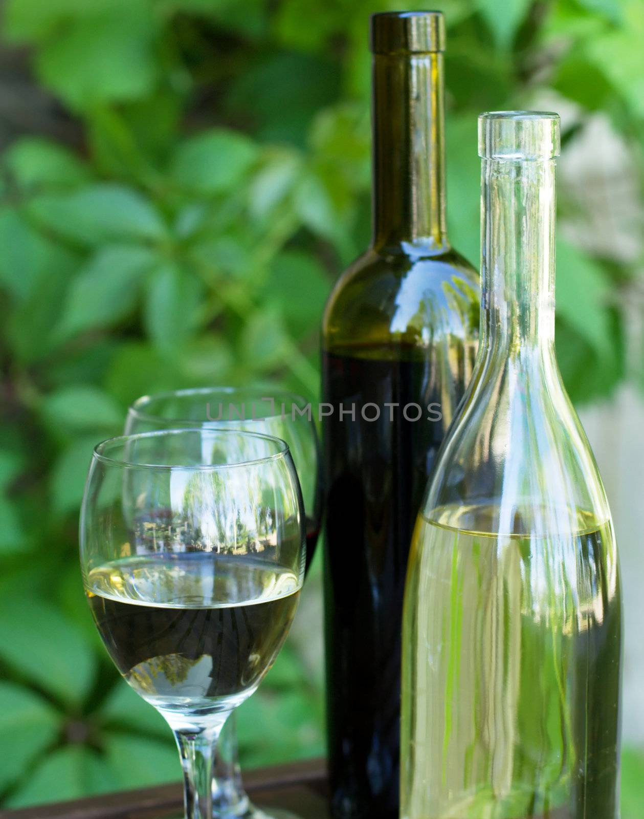 Bottles of red and white wine with grapes, in natural light