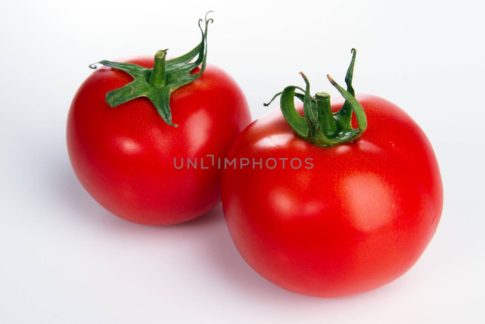 Two tomatoes on gray bacground, studio photo