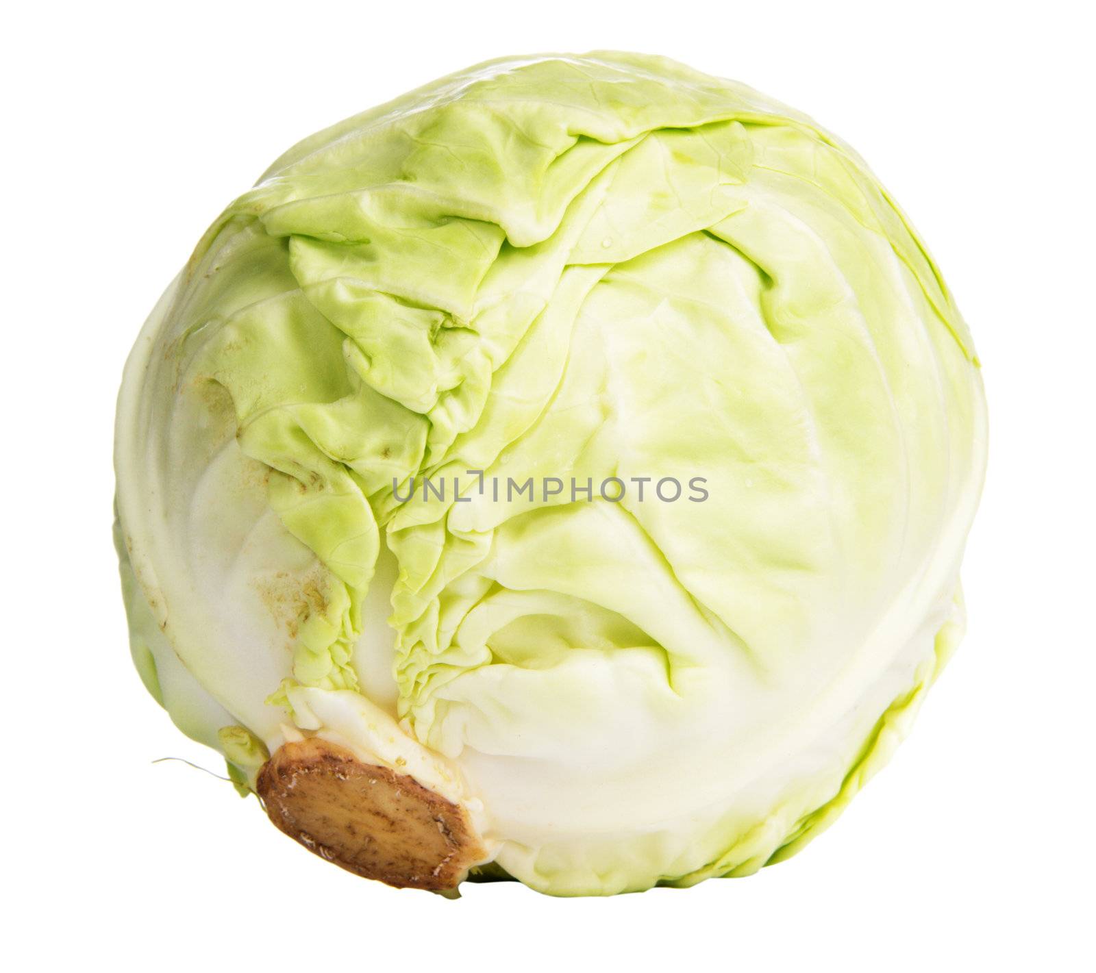 Cabbage over white background, closeup studio photo