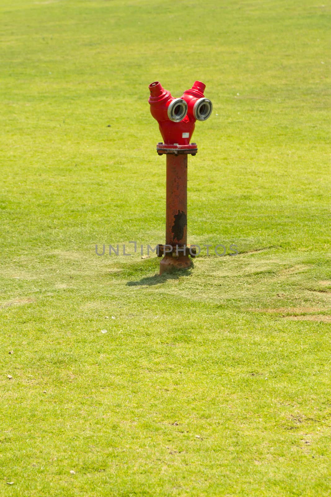 Fireplug on grass field by Gdolgikh