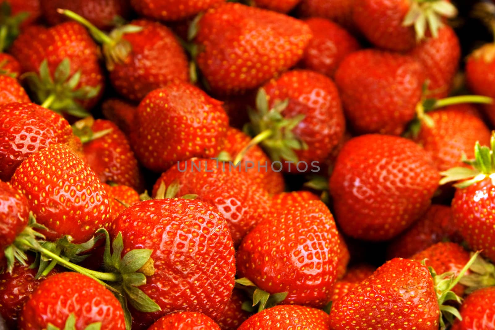 Fresh organic strawberry closeup photo