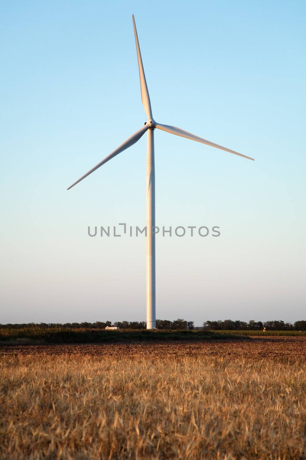 Wind power generator in a wheat field