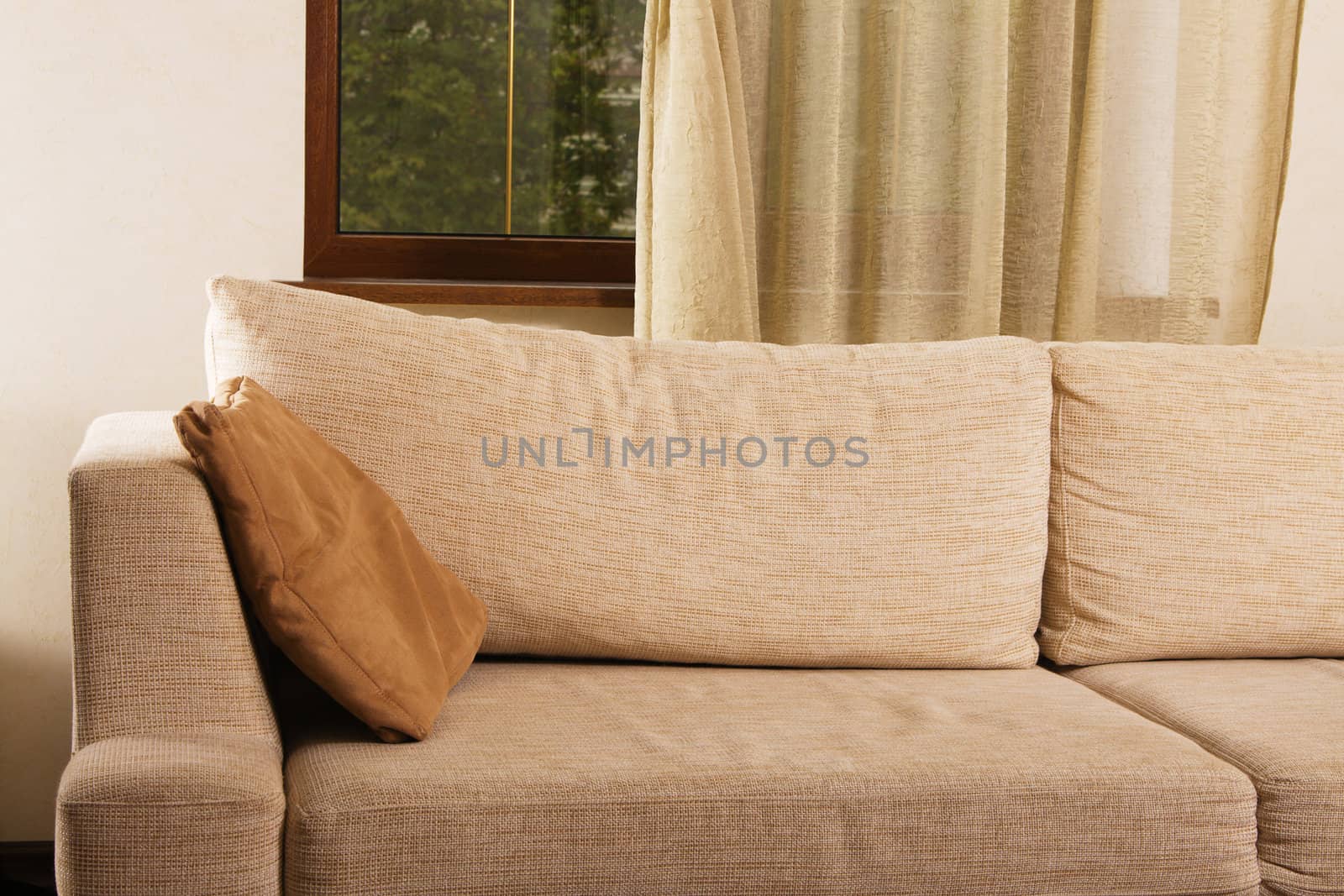 Beige comfortable sofa in home interior by Gdolgikh