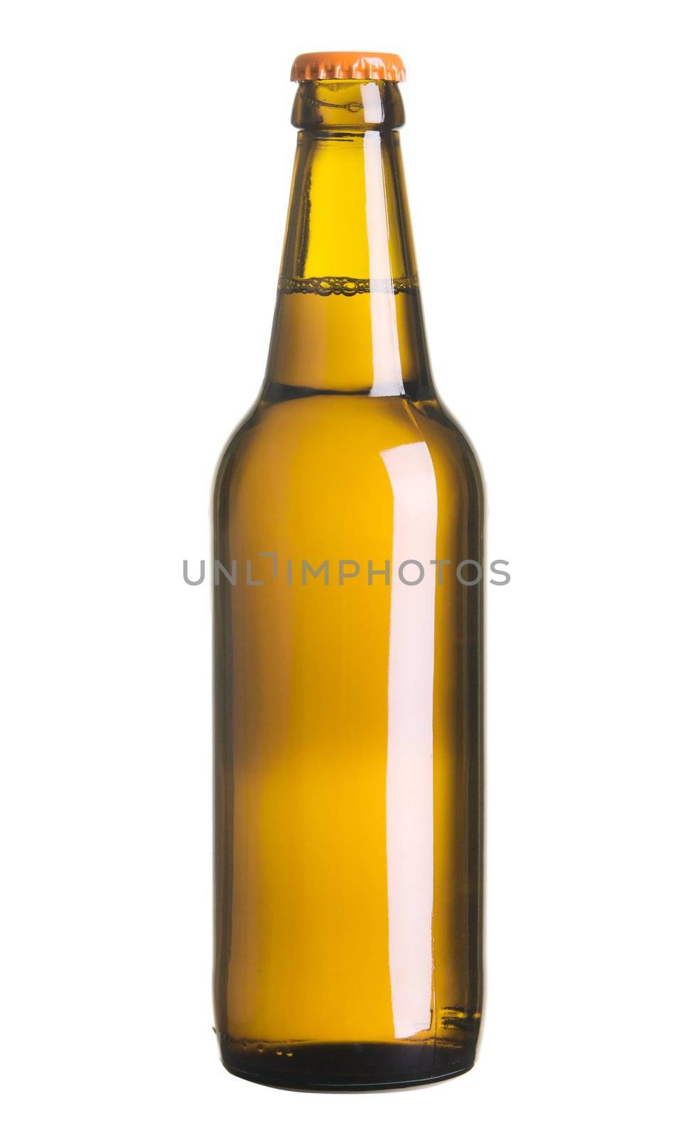 Beer bottle isolated on white background