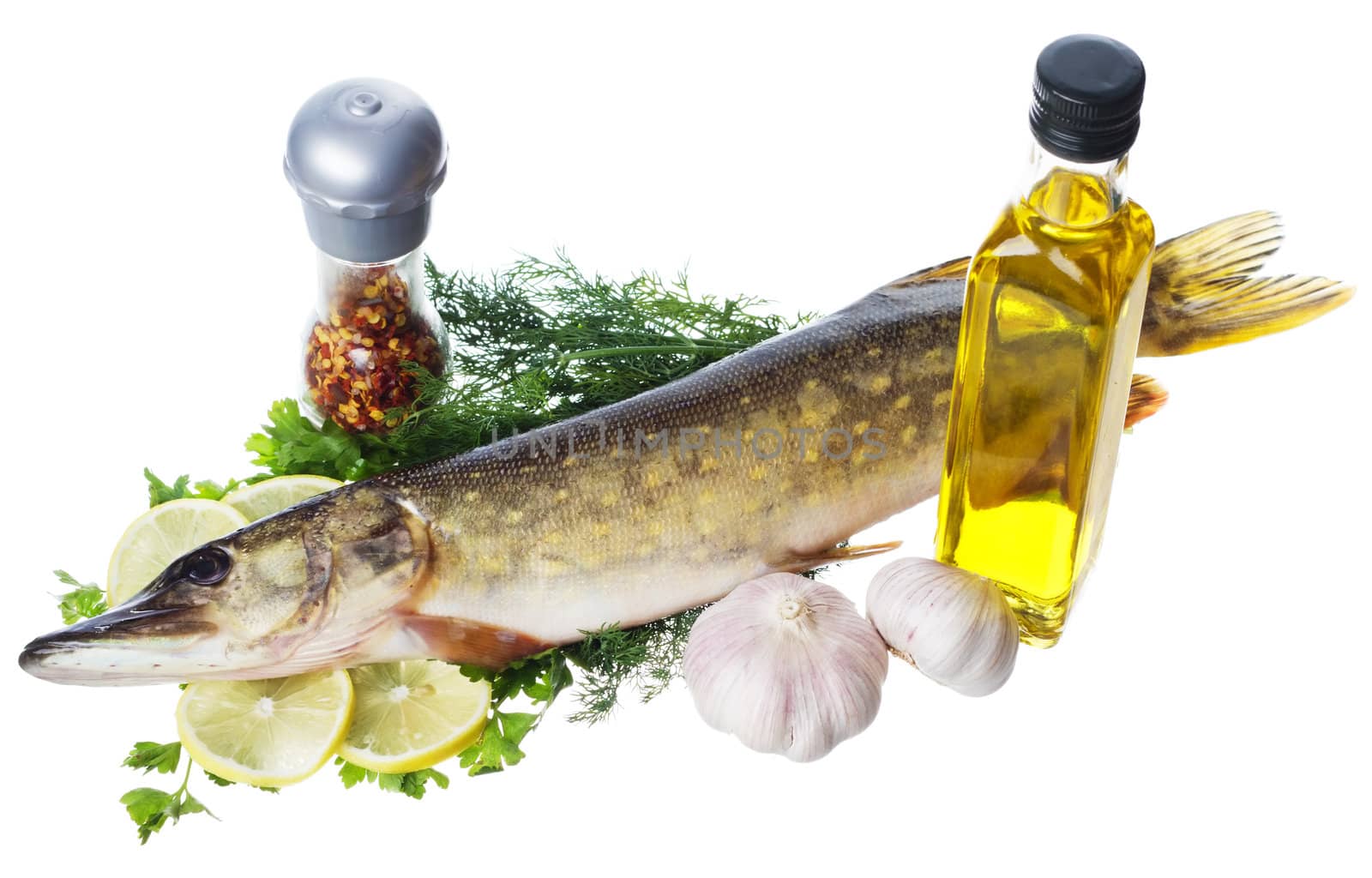 Raw pike with cooking ingredients isolated on white background