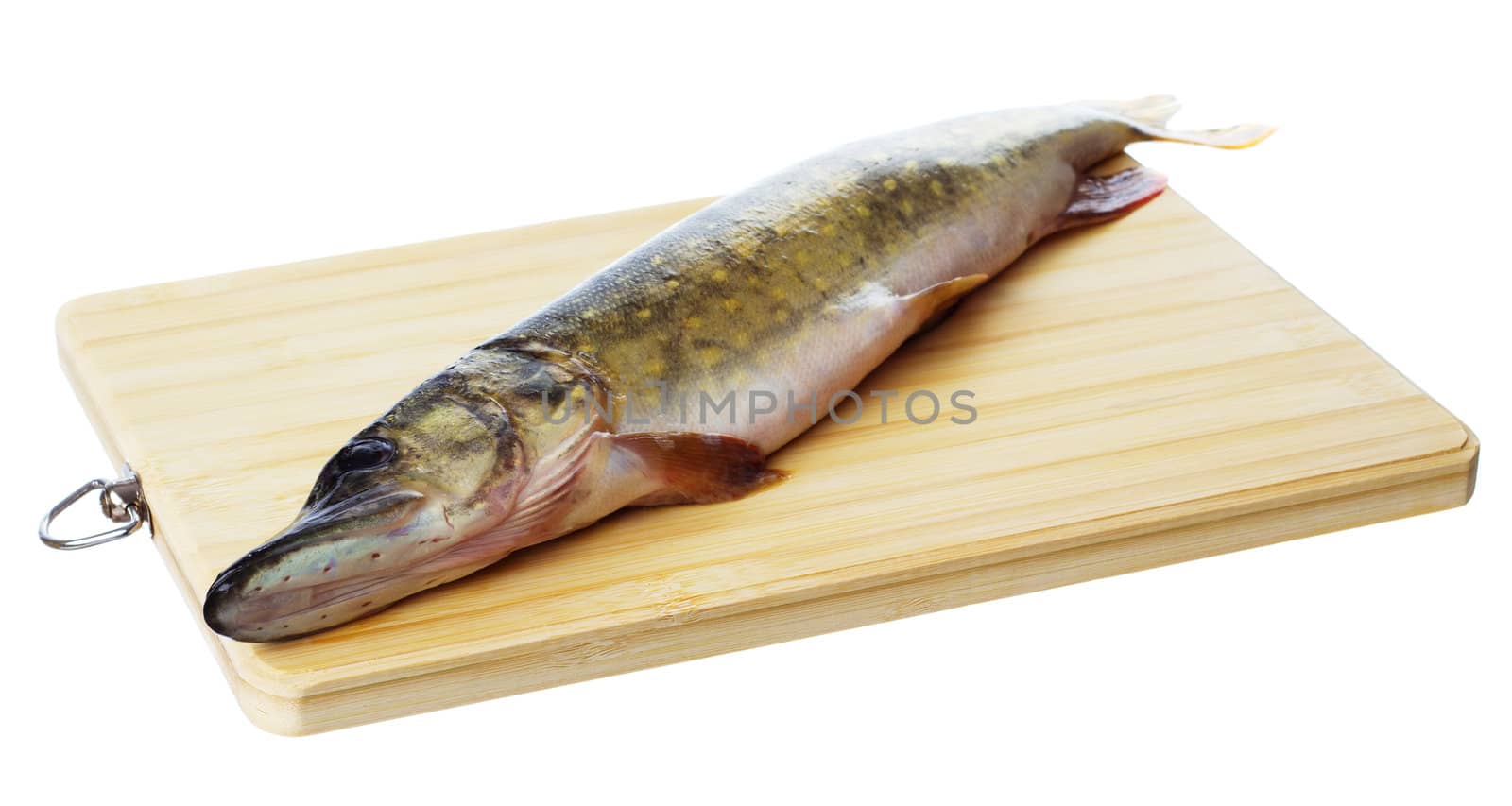 Raw pike with cooking ingredients isolated on white background