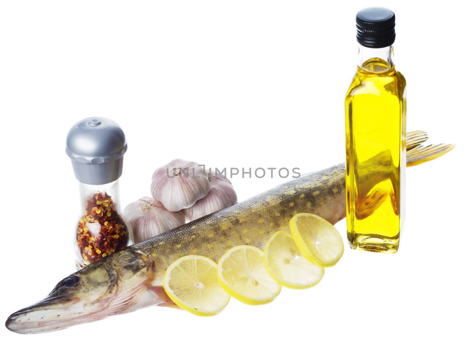 Raw pike with cooking ingredients isolated on white background