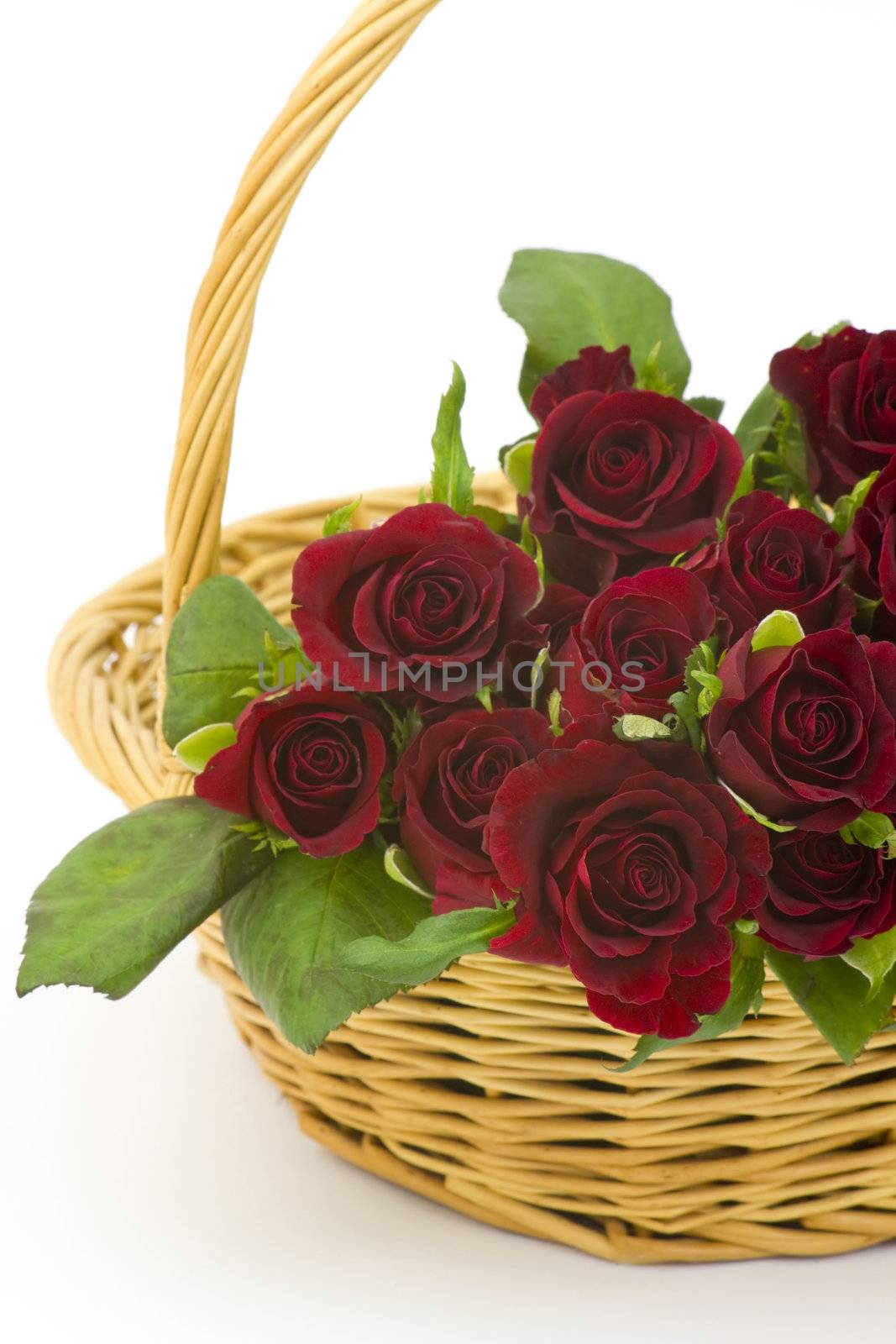 red roses in a basket by miradrozdowski