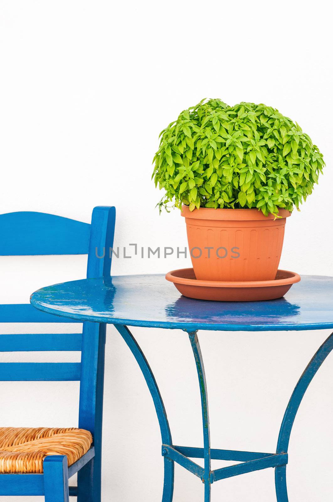 Blue chair and table with basil flowerpot by akarelias