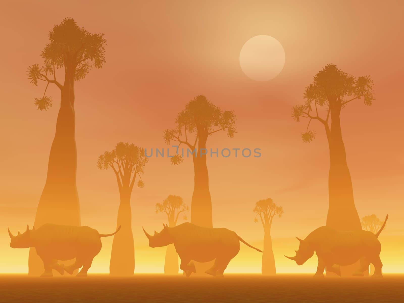 Three rhinoceros running between baobab trees in the savannah by foggy sunset light