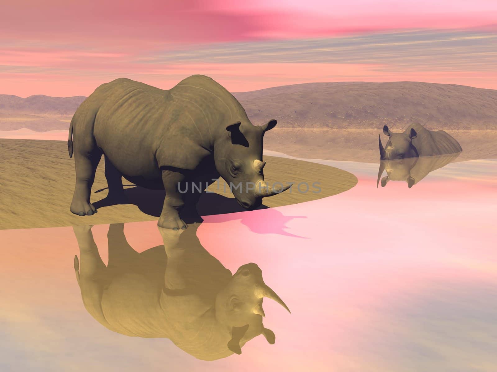 Rhinoceros and water by Elenaphotos21