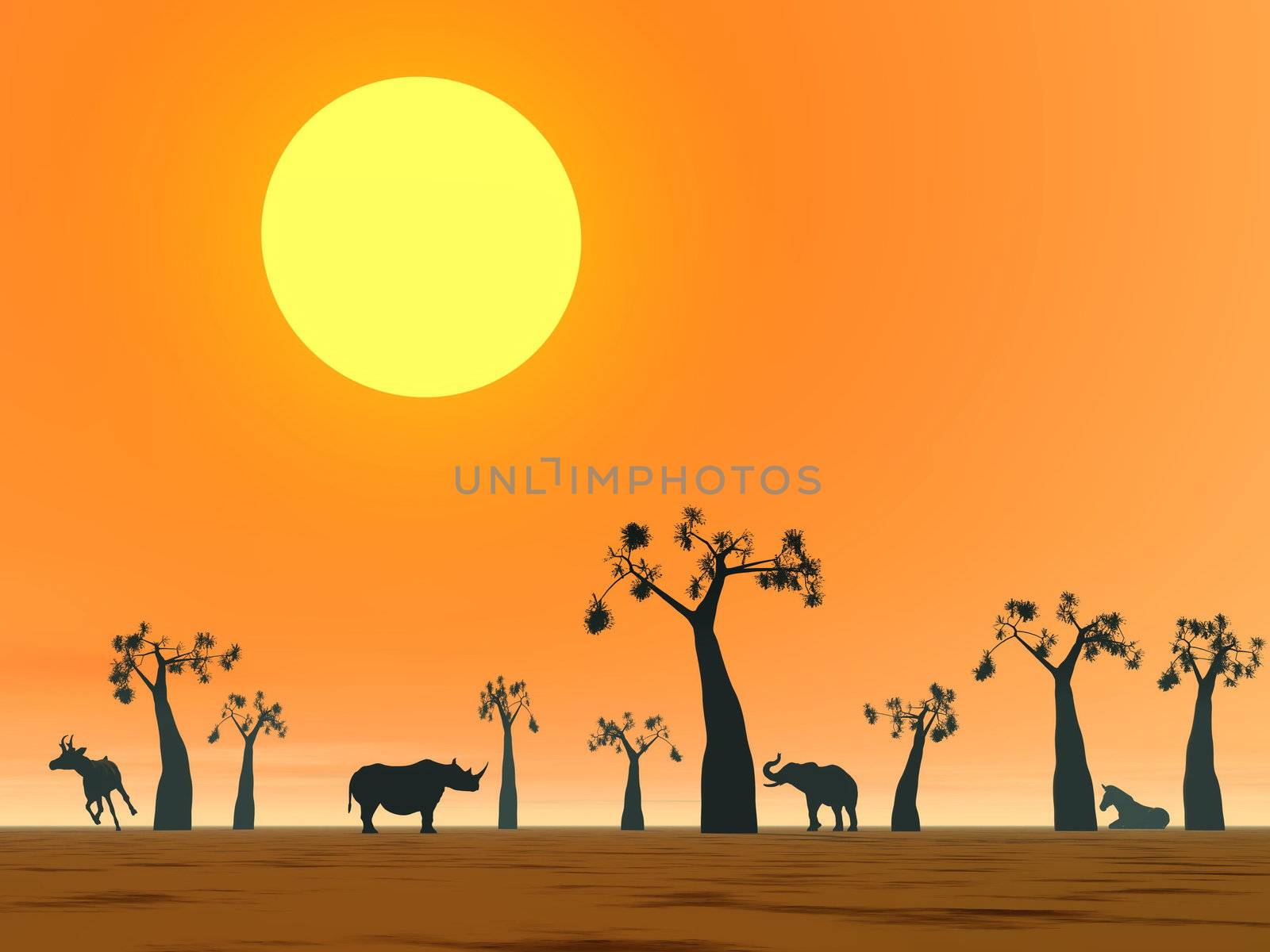 Shadows of animals in the savannah next to baobabs by sunset