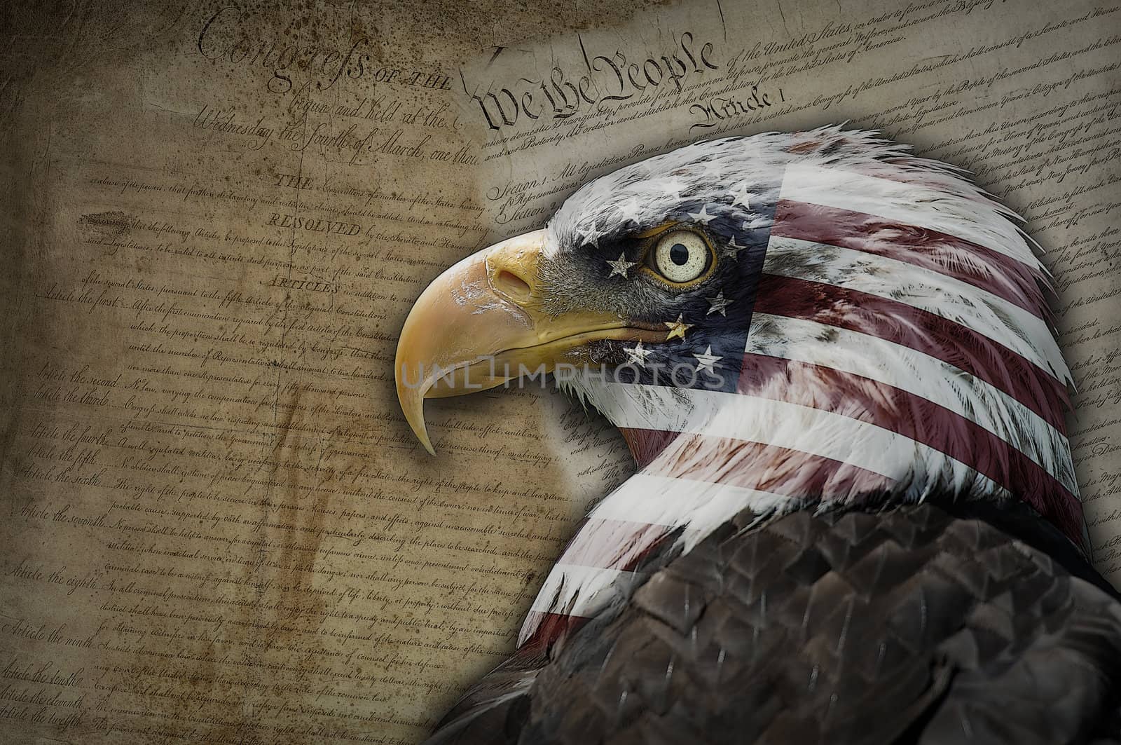 Bald eagle with the American flag on a background made of historical documents