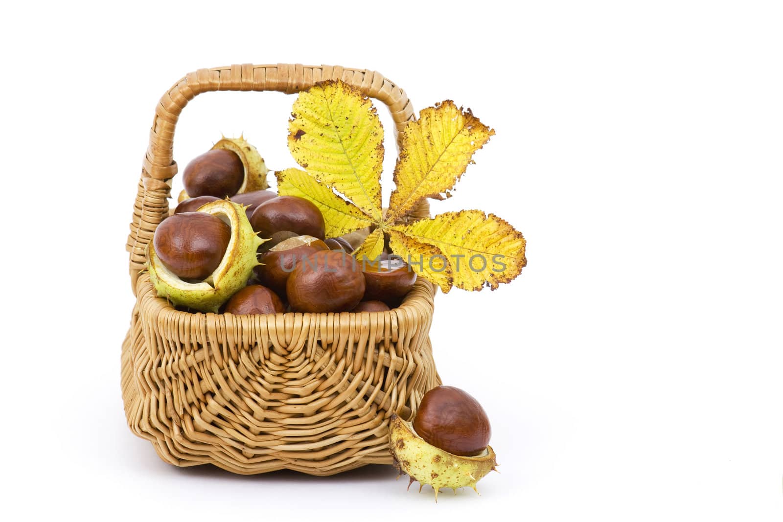 basket full of chestnuts and autumnal leaves