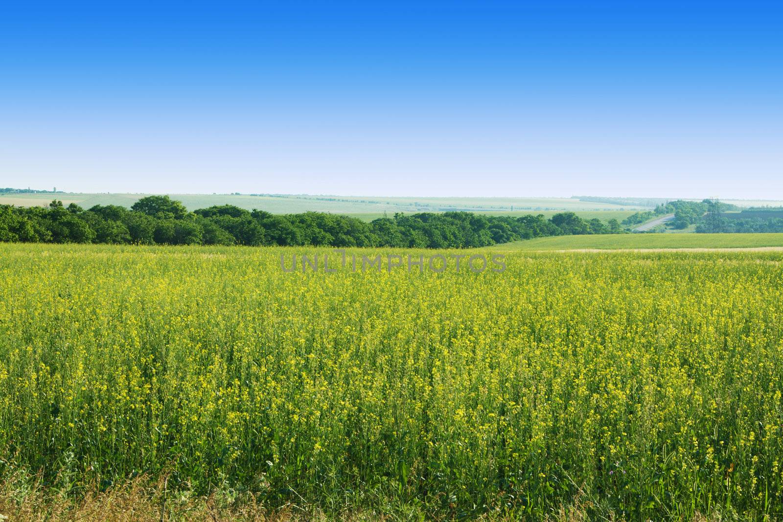 Beautiful summer landscape on a sunny day