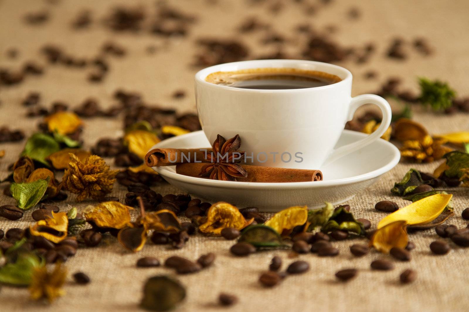 Cup of coffee close-up studio photo