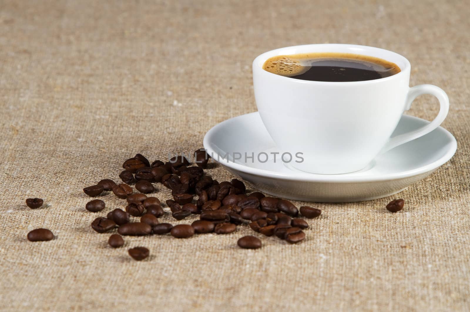 Cup of coffee close-up studio photo