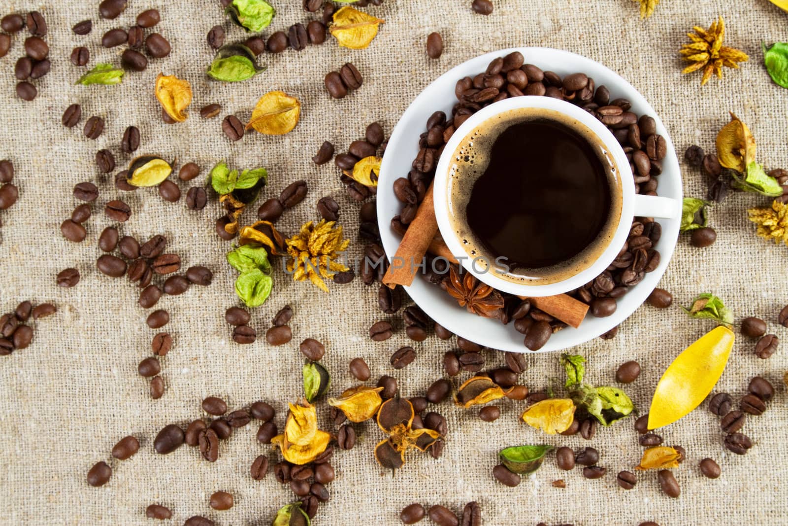 Cup of coffee close-up studio photo