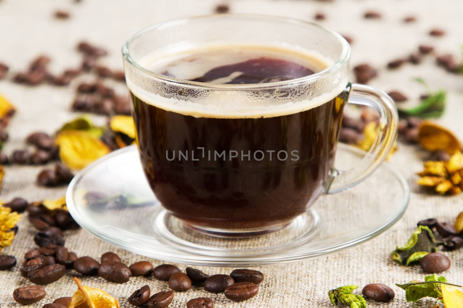 Cup of coffee close-up studio photo