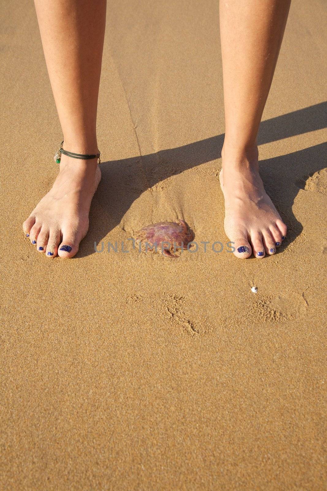 woman foot ready to push a medusa in a beach