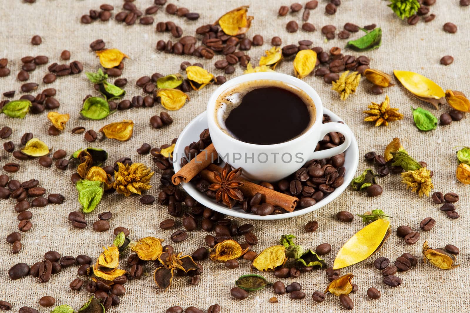 Cup of coffee close-up studio photo