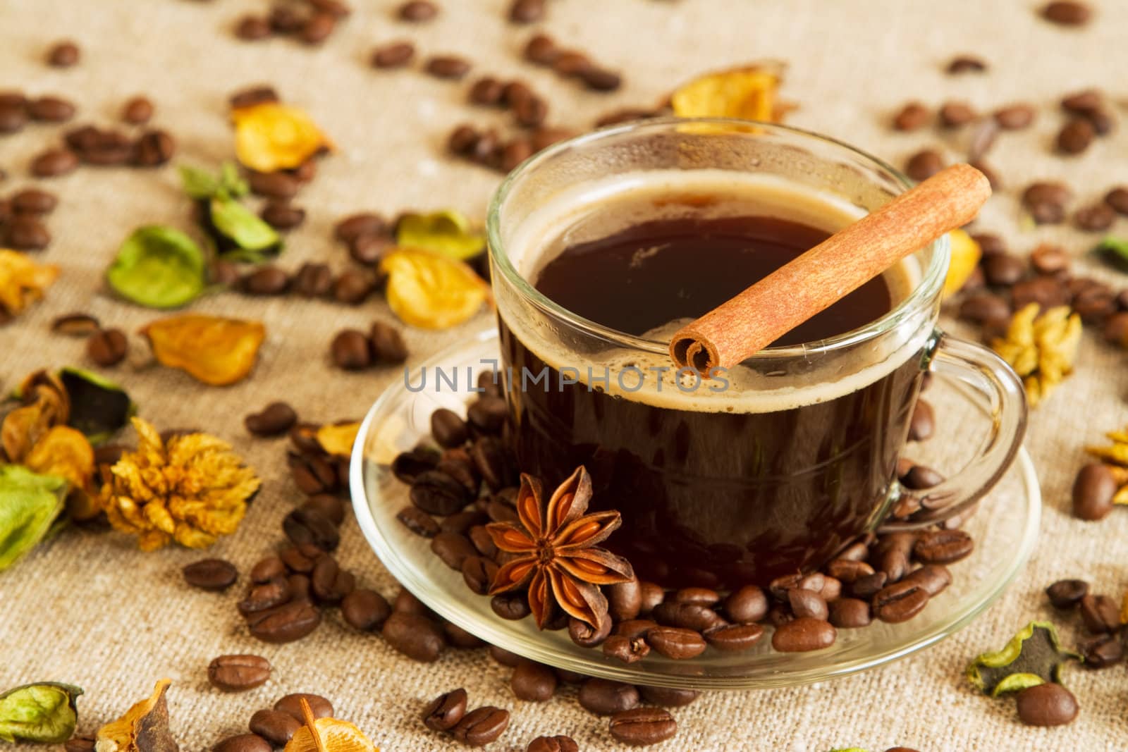 Cup of coffee close-up studio photo