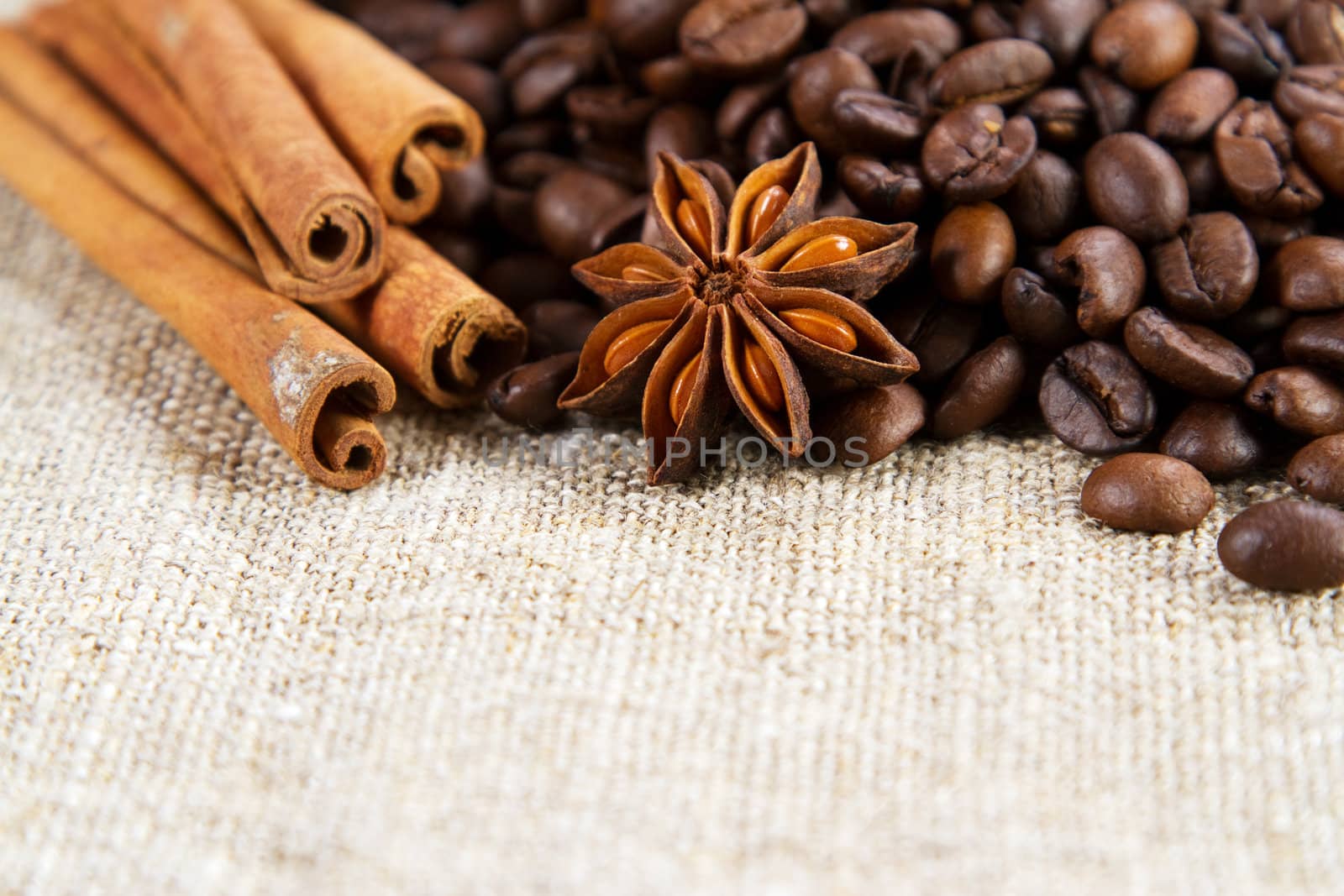 Coffee beans with spices macro photo