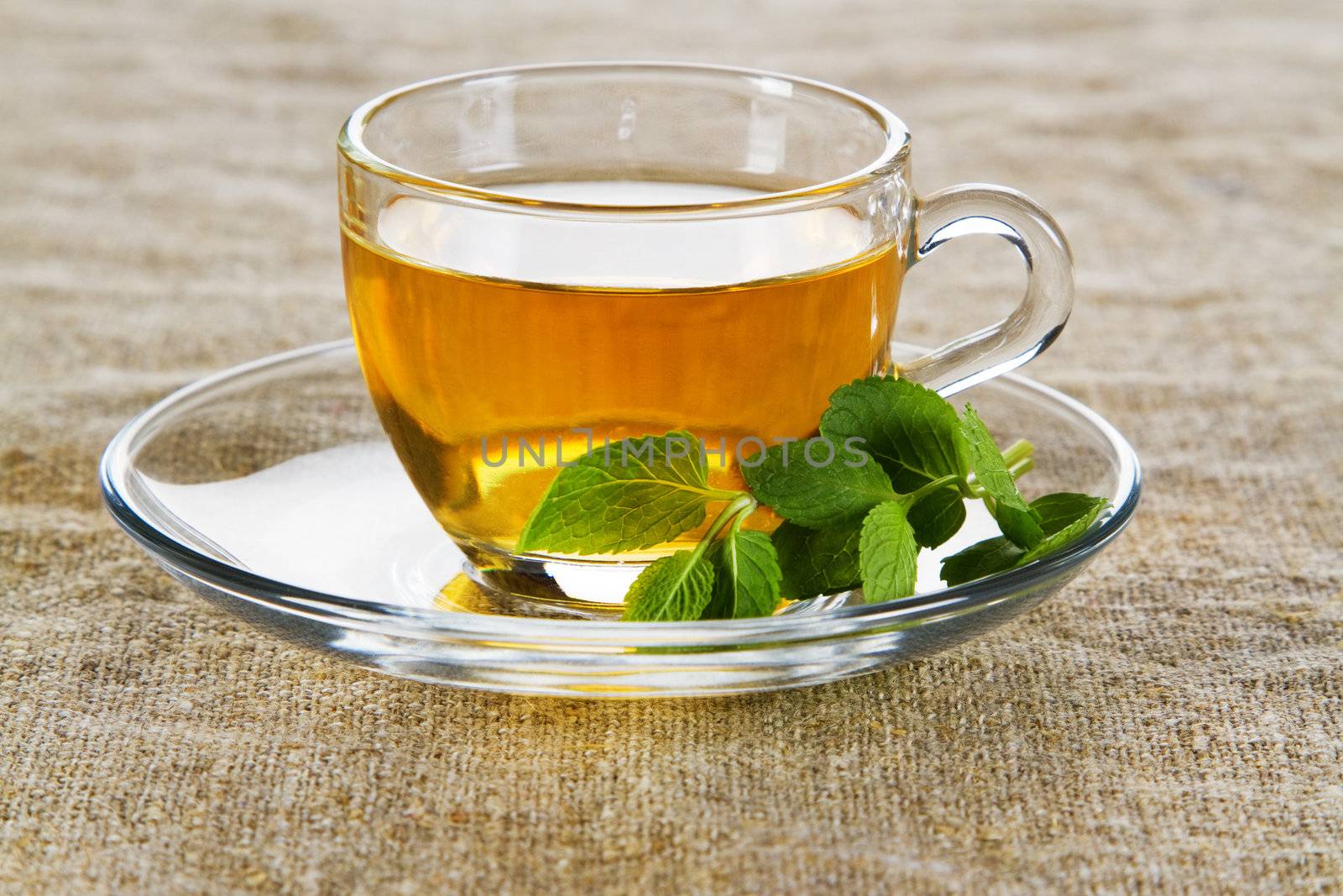 Tea cup with fresh mint leaves by Gdolgikh