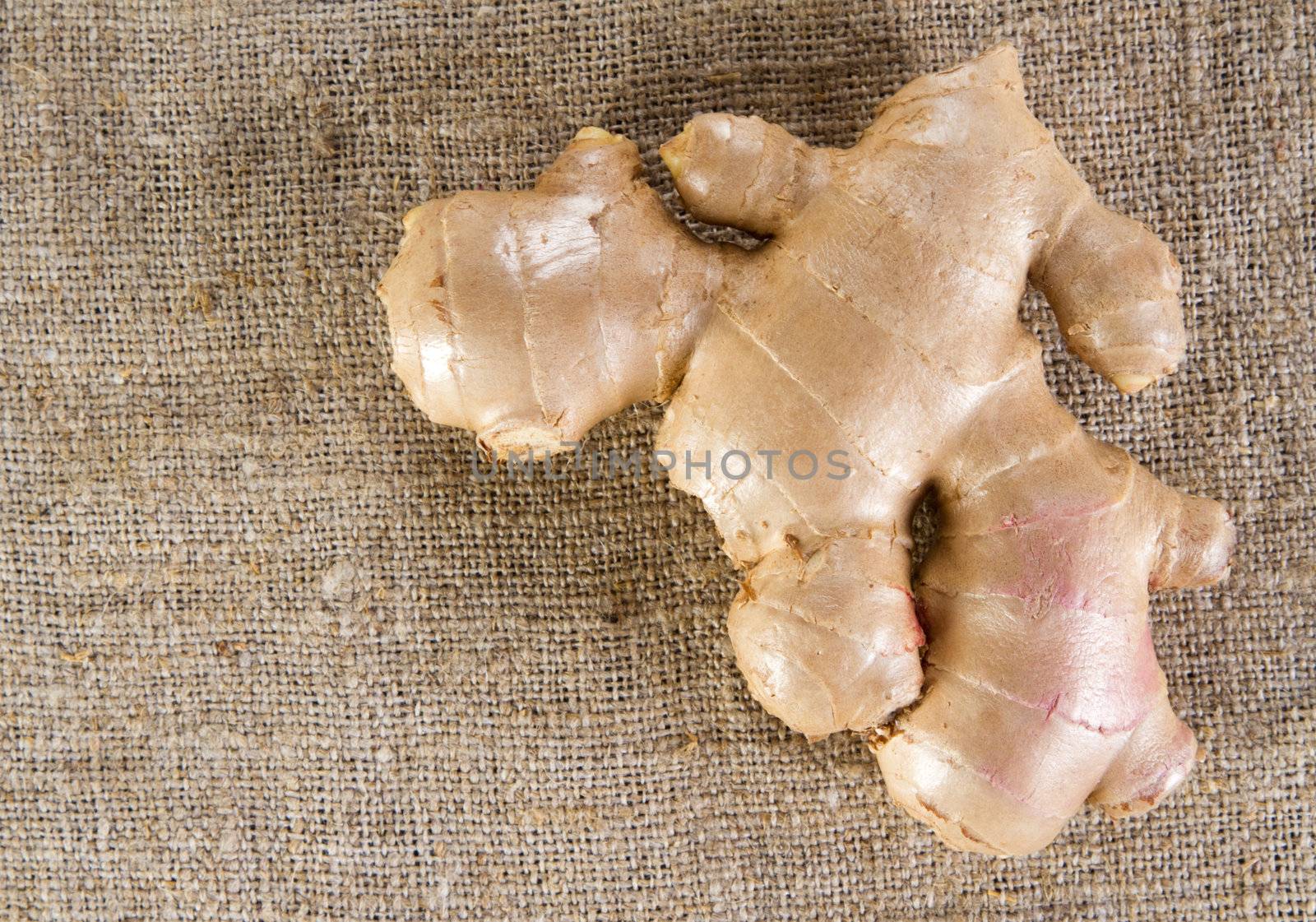 Ginger on rough cloth, studio photo