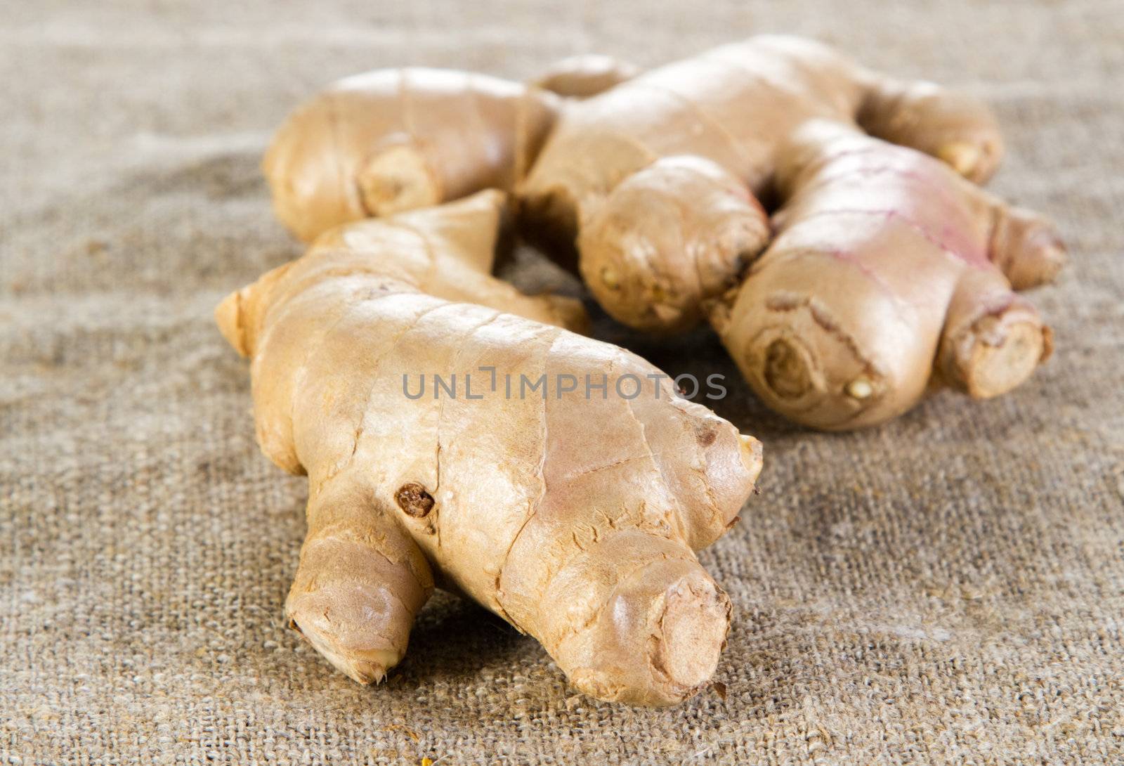 Ginger on rough cloth by Gdolgikh