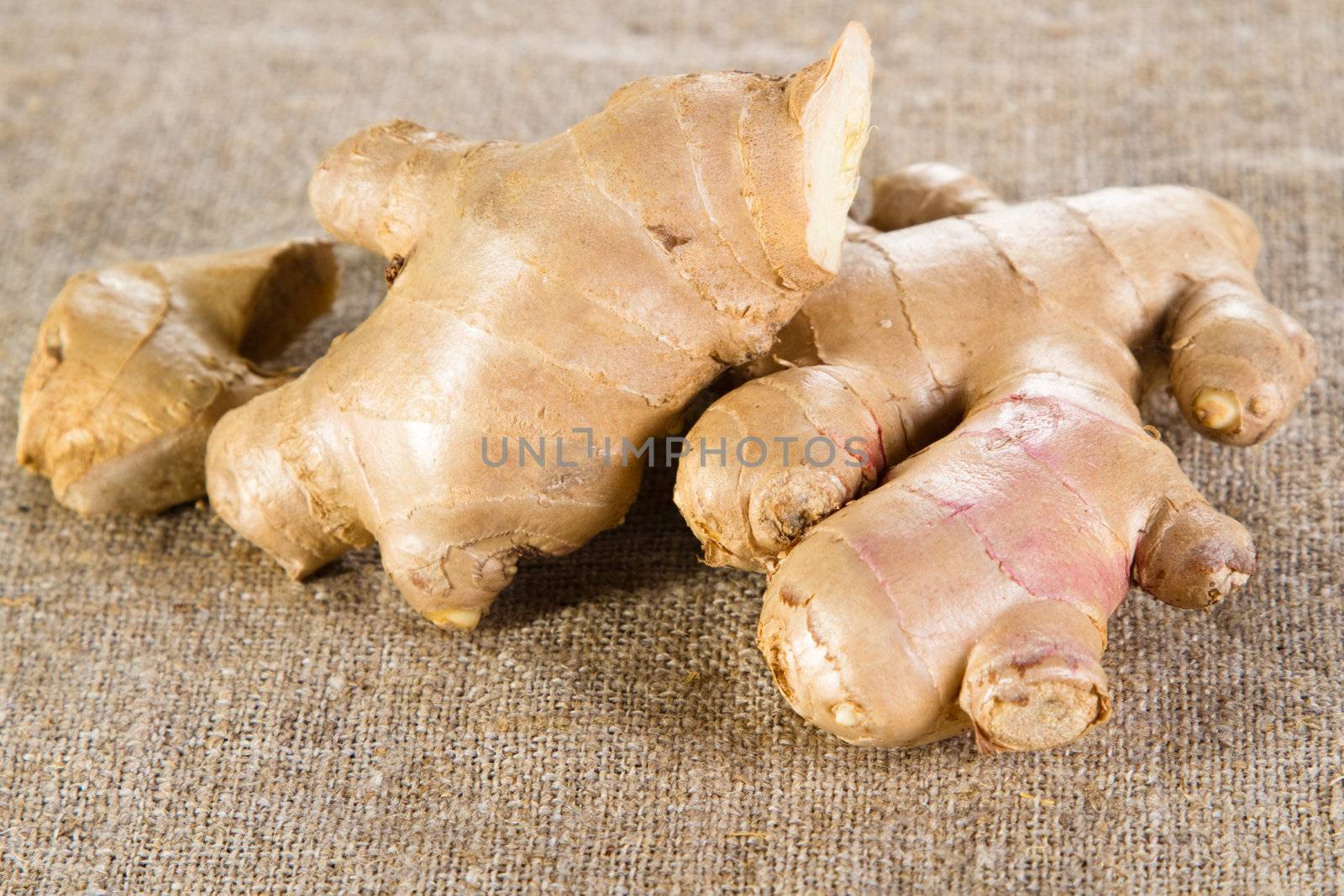 Ginger on rough cloth by Gdolgikh