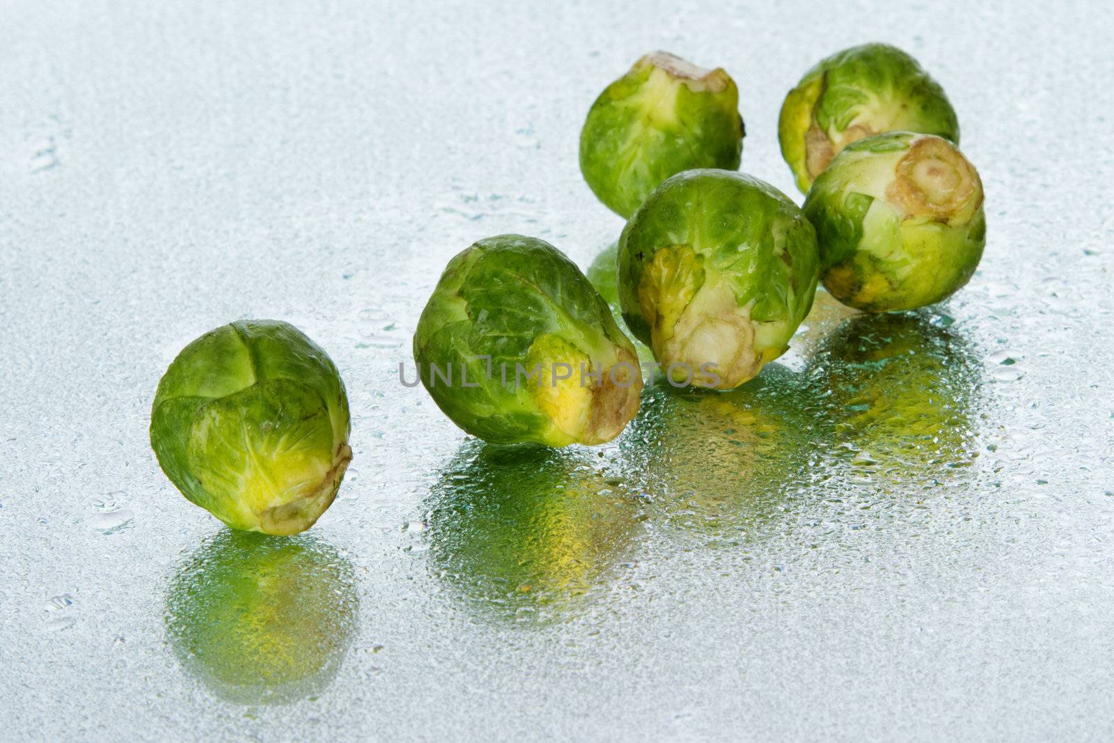 Brussels sprout on wet surface, studio still life