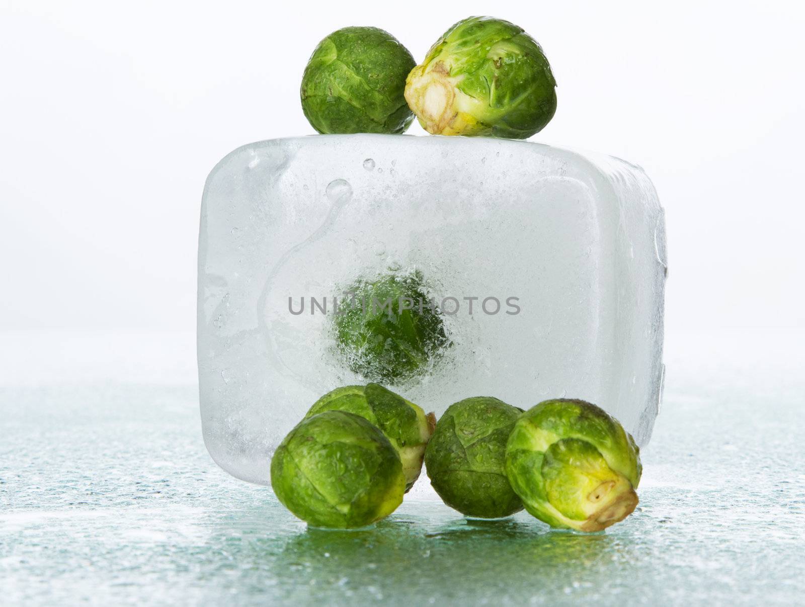 Brussels sprout on wet surface, studio still life