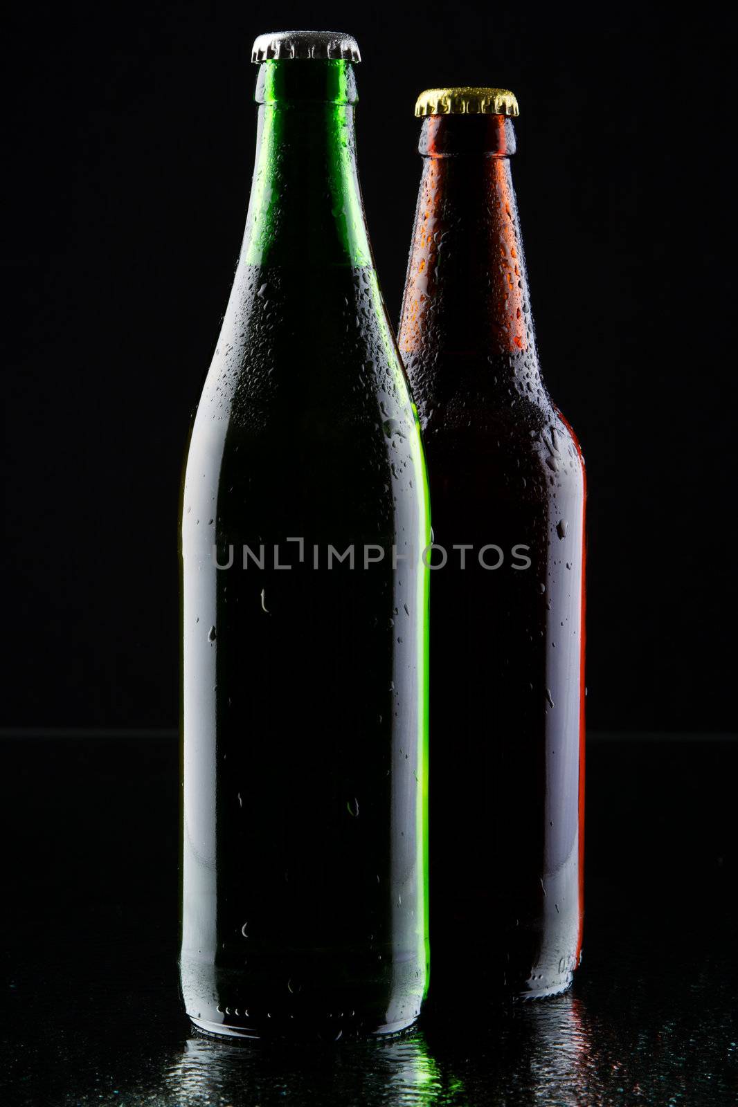 Two beer bottles silhouette, studio photo