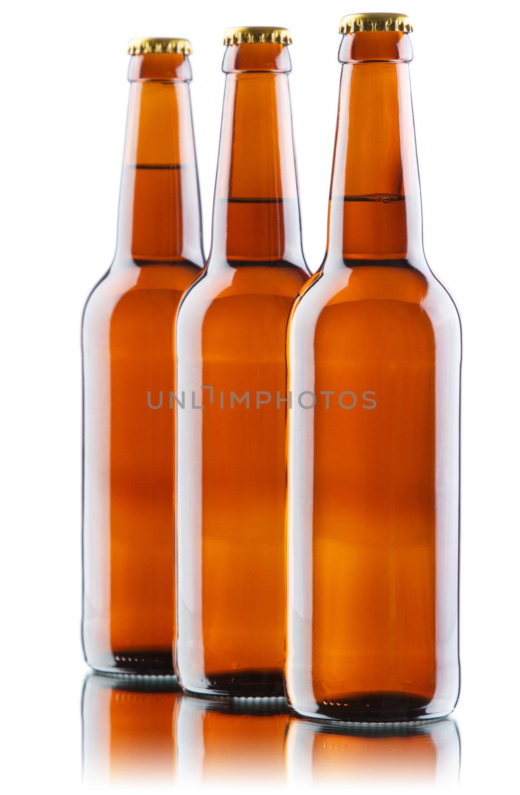 Beer bottles isolated on white background, studio still-life