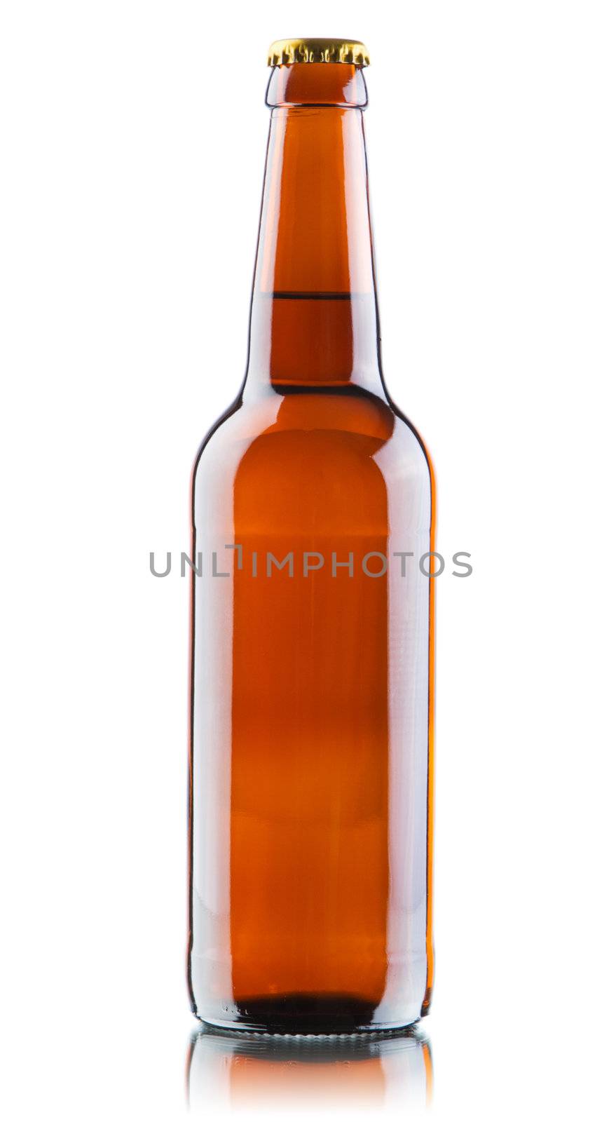 Beer bottles isolated on white background by Gdolgikh