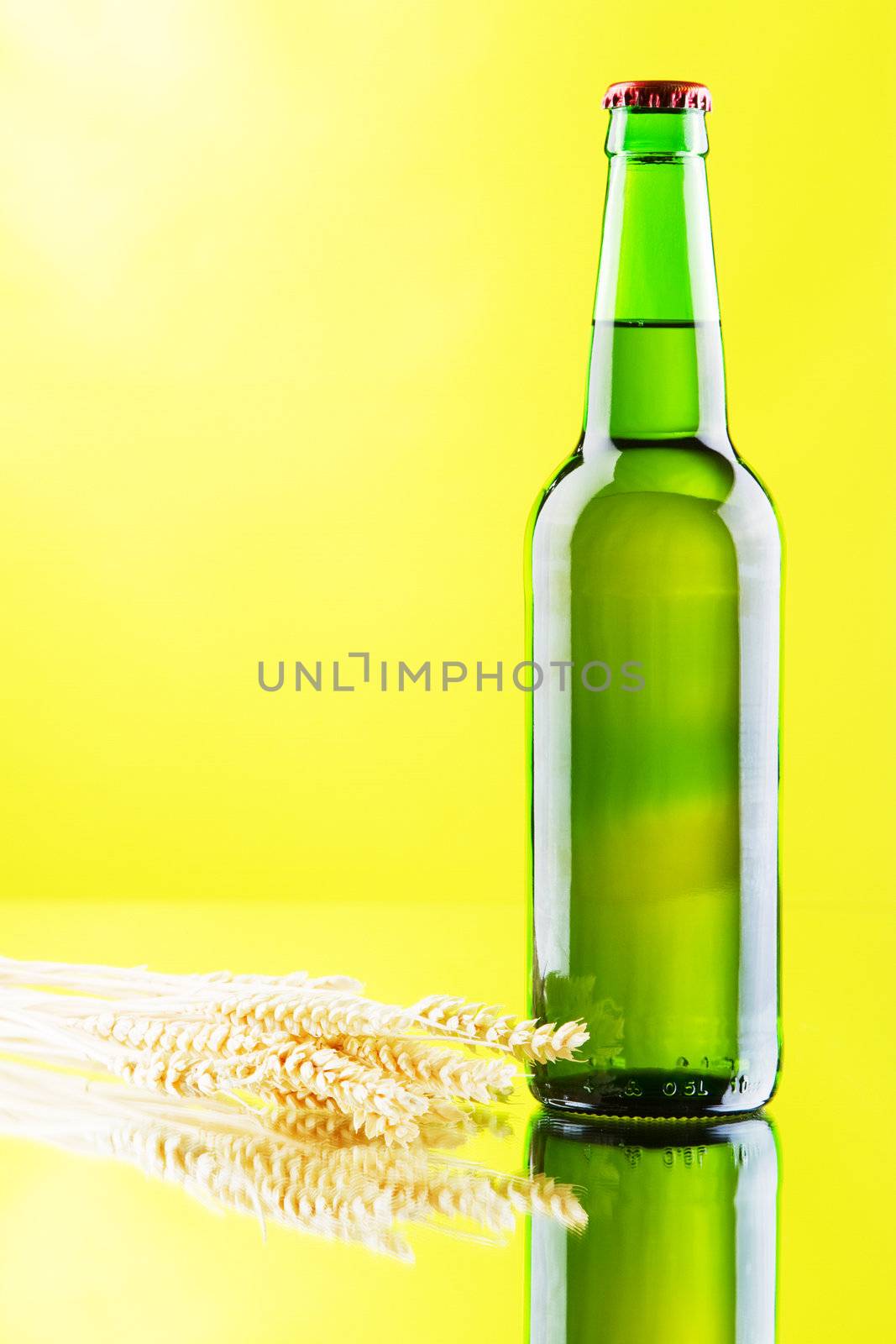 Beer mug and bottle isolated on white background, studio photo