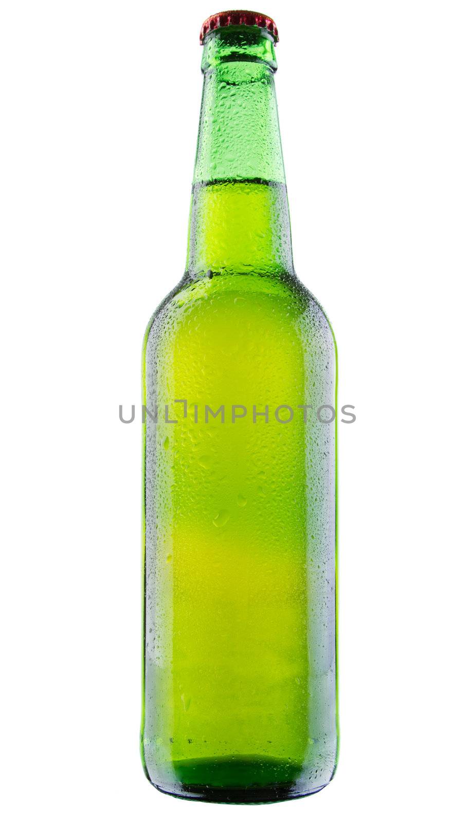 Beer bottles isolated on white background, studio still-life