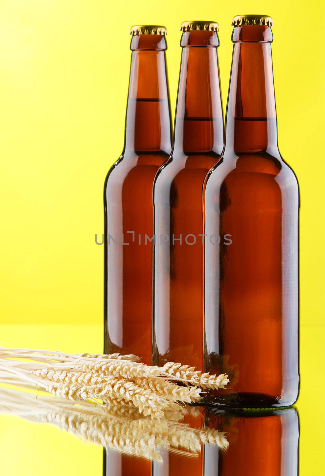 Beer mug and bottles on yellow background, studio photo