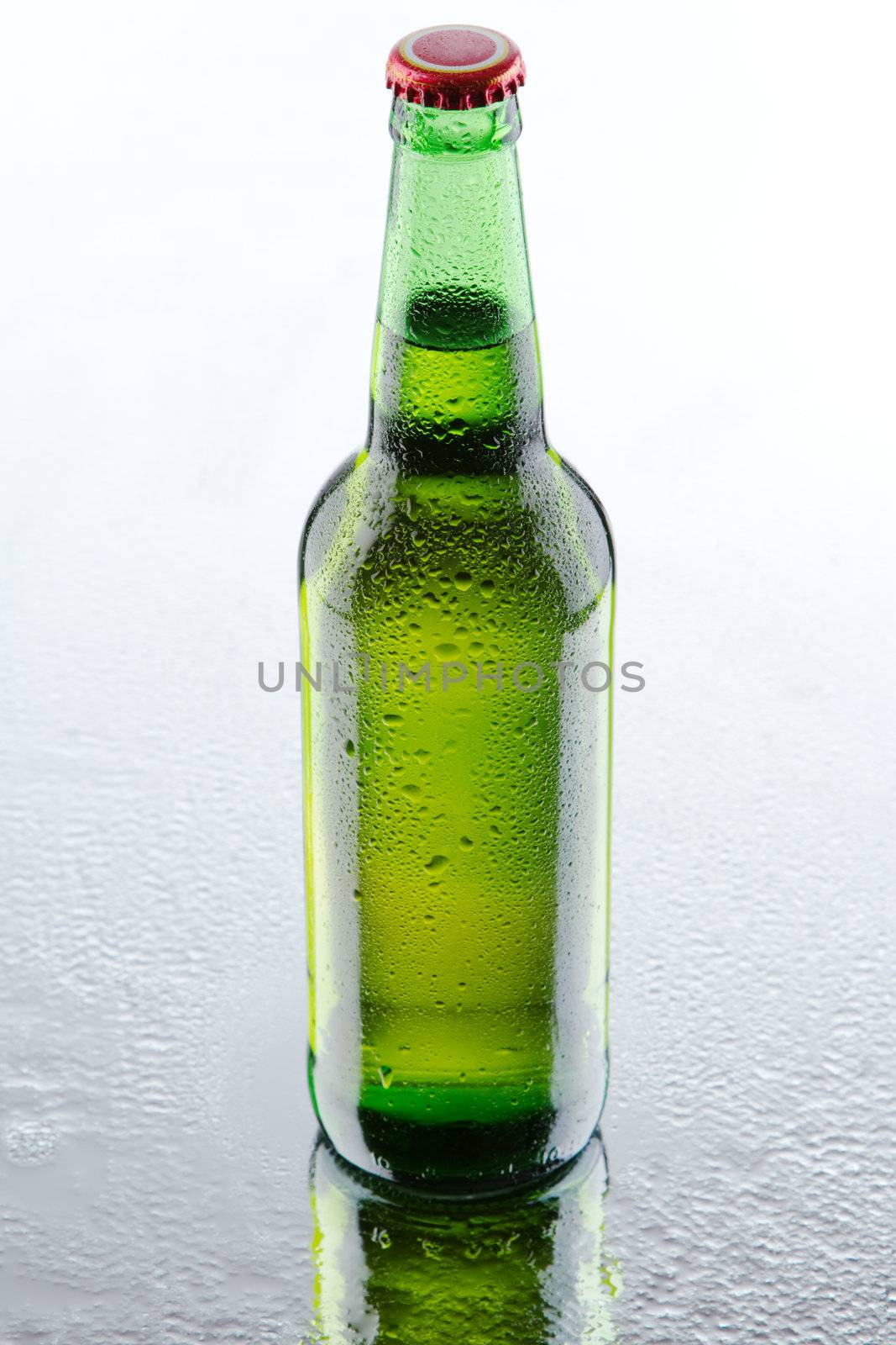 Beer bottles isolated on white background by Gdolgikh