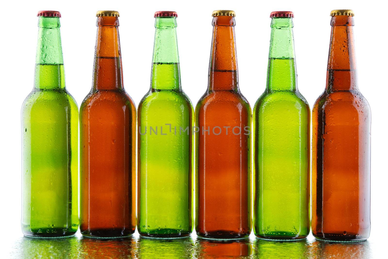 Beer bottles isolated on white background, studio still-life