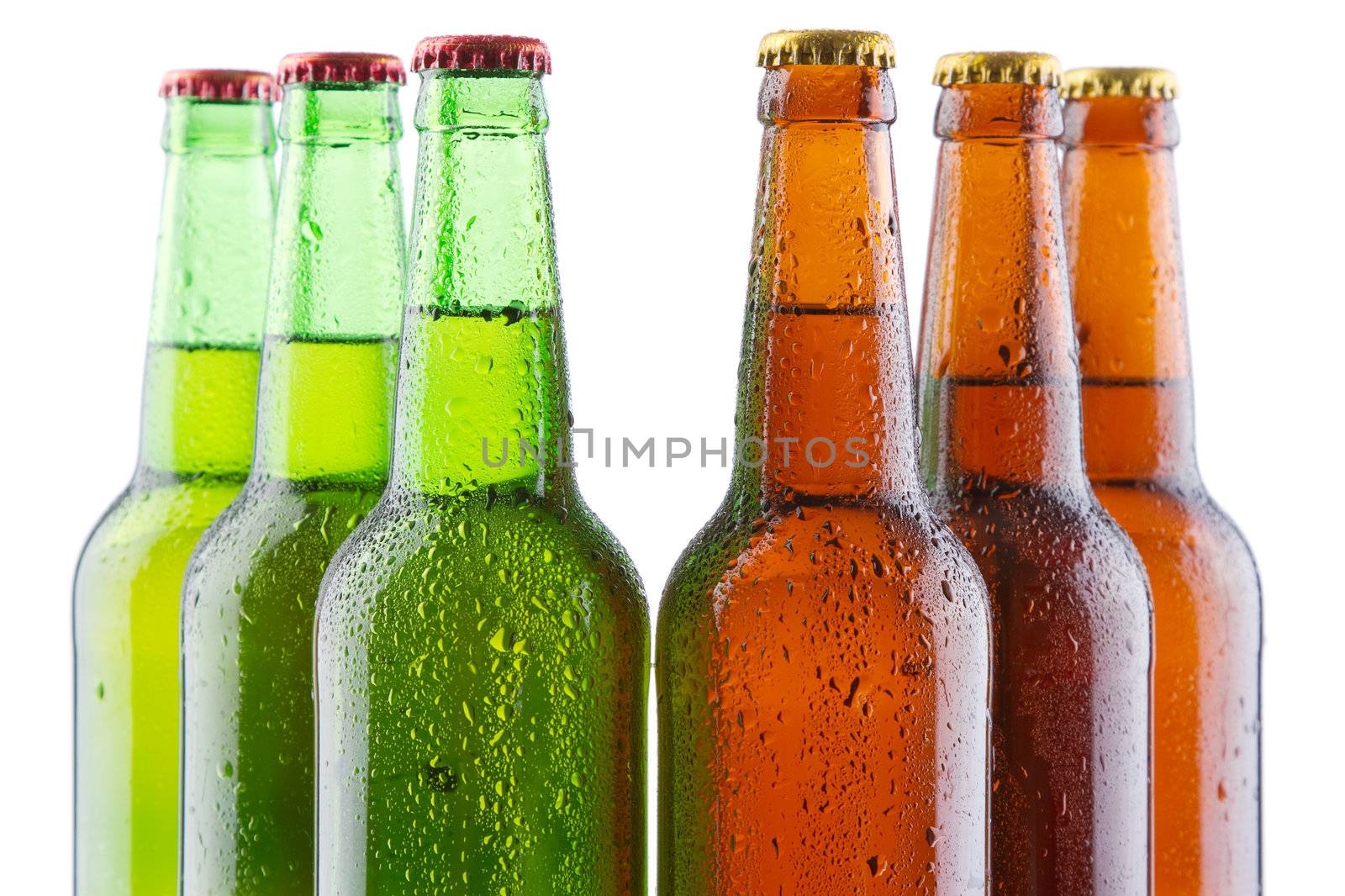 Beer bottles isolated on white background, studio still-life