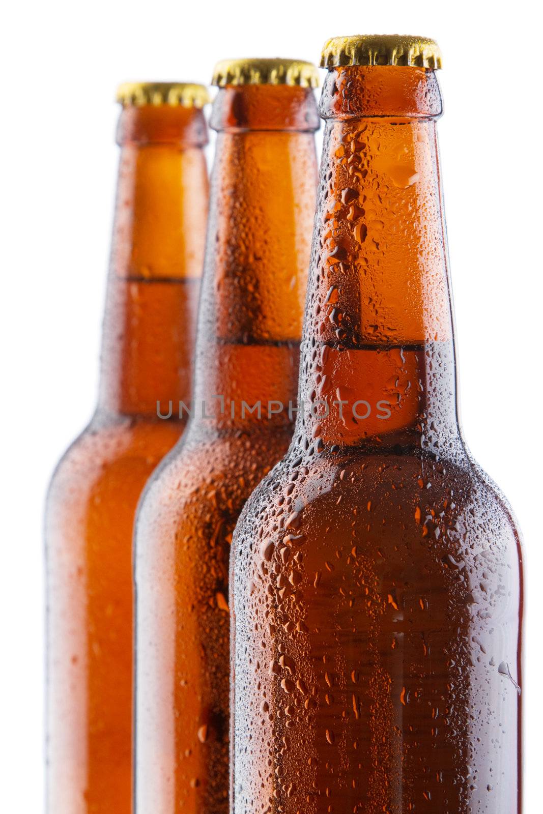 Beer bottles isolated on white background, studio still-life