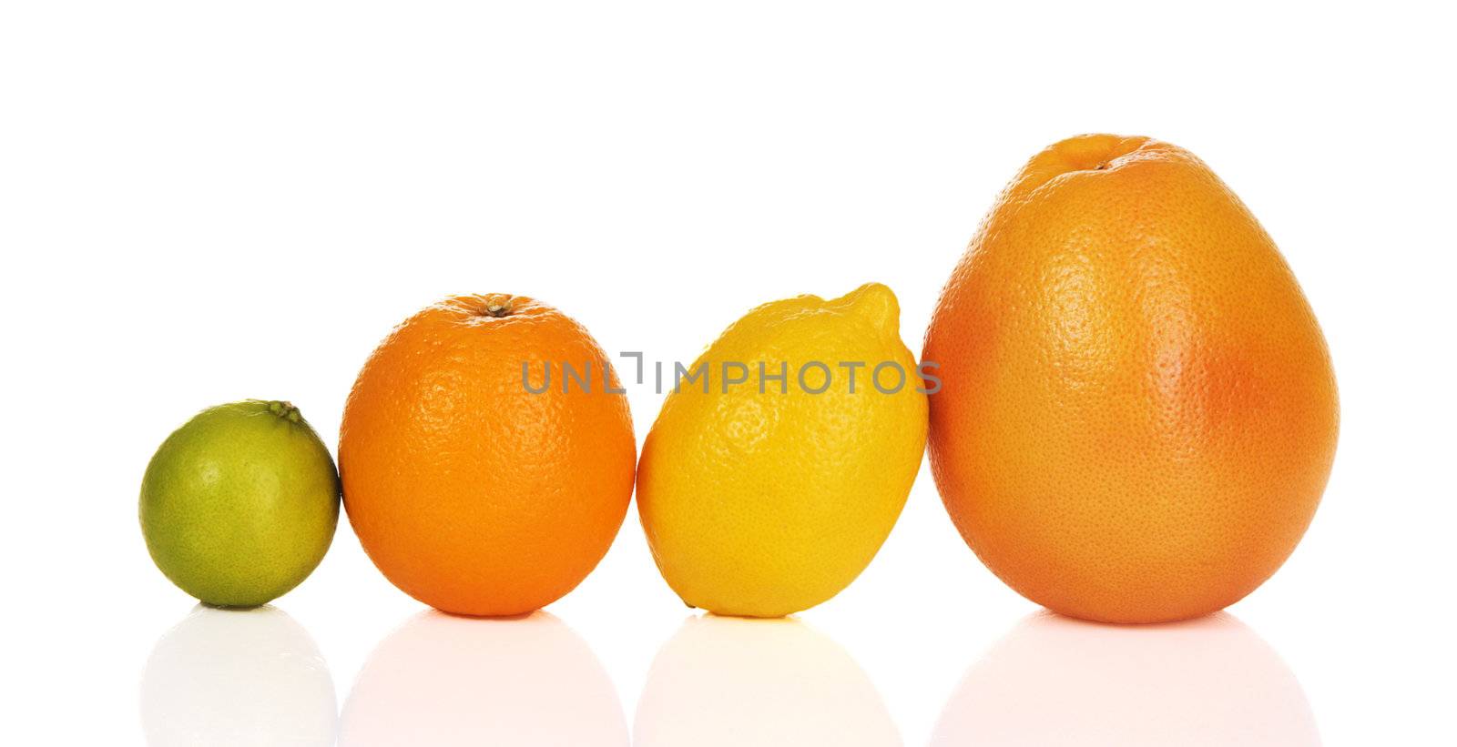Fresh citrus line on white background 