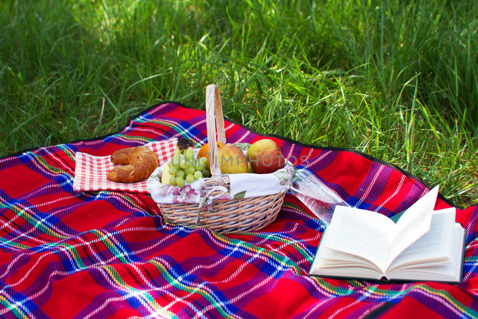 Picnic basket standing over a green grass background