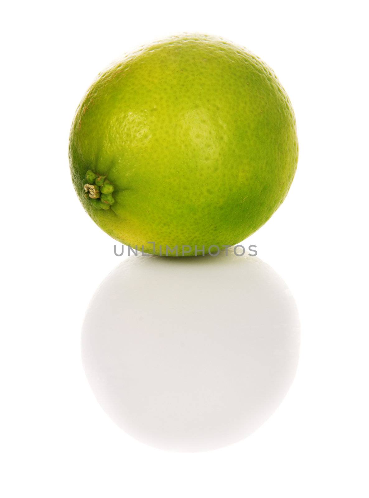 Lime on white background